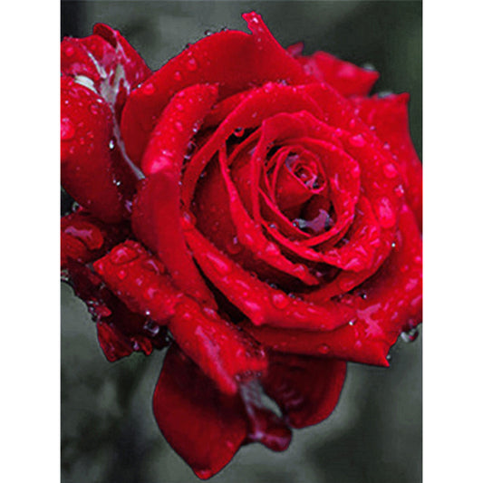 Bloom Rose - Full Round Drill Diamond Painting 30*40CM