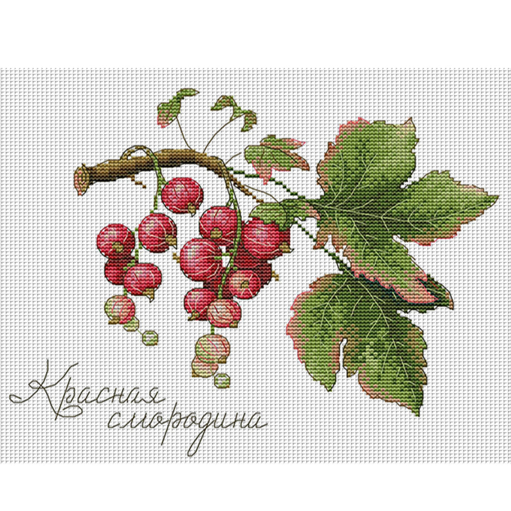 Fruit Series 3 - 14CT Stamped Cross Stitch 32*27CM(Joy Sunday)