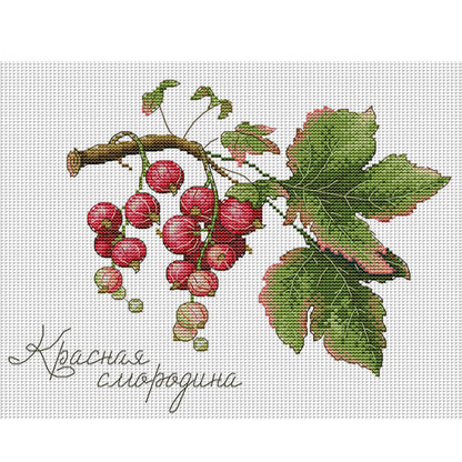 Fruit Series 3 - 14CT Stamped Cross Stitch 32*27CM(Joy Sunday)