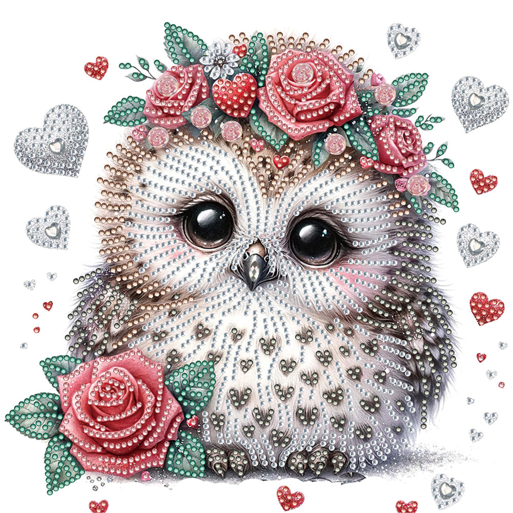 Flowered Owl - Special Shaped Drill Diamond Painting 30*30CM