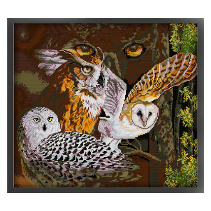 Owl Eleven - 14CT Stamped Cross Stitch 55*48CM(Joy Sunday)