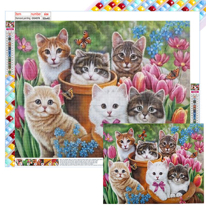 Litter Of Kittens - Full Square Drill Diamond Painting 50*40CM