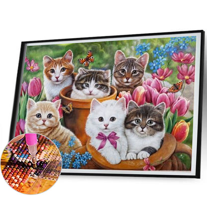 Litter Of Kittens - Full Square Drill Diamond Painting 50*40CM