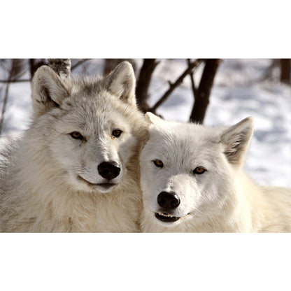 Wolf - Full Round Drill Diamond Painting 50*30CM