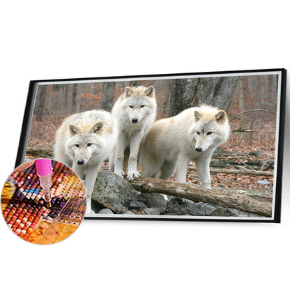 Wolf - Full Round Drill Diamond Painting 50*30CM