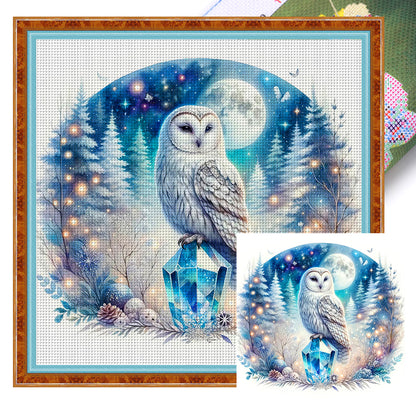 Owl On Gemstone Under Moonlit Night - 11CT Stamped Cross Stitch 40*40CM