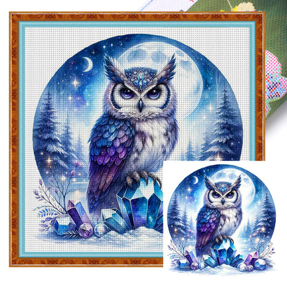 Owl On Gemstone Under Moonlit Night - 11CT Stamped Cross Stitch 40*40CM