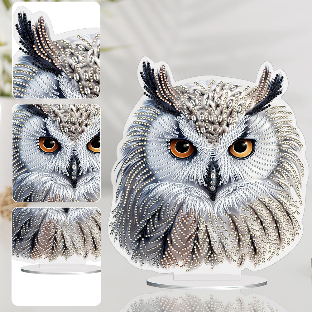 White Head Owl Special Shape Desktop Diamond Art Kits Desktop Decor (Cute Owl)