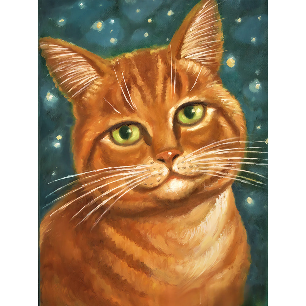 Fat Cat - Full Round Drill Diamond Painting 30*40CM