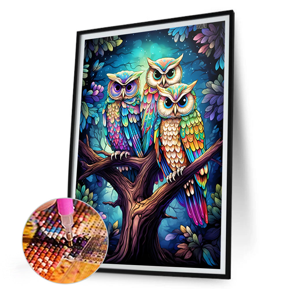 Owl - Full Round Drill Diamond Painting 30*45CM