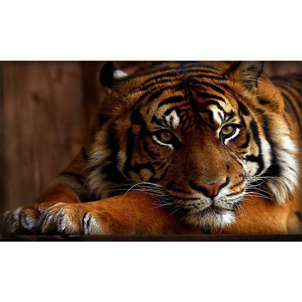 Tiger - Full Round Drill Diamond Painting 50*30CM