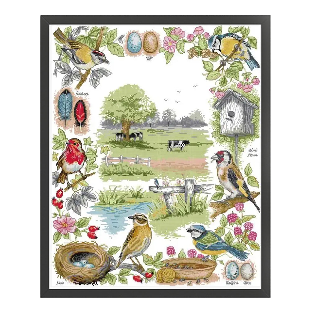 Bird Ecology - 14CT Stamped Cross Stitch 48*58CM(Joy Sunday)