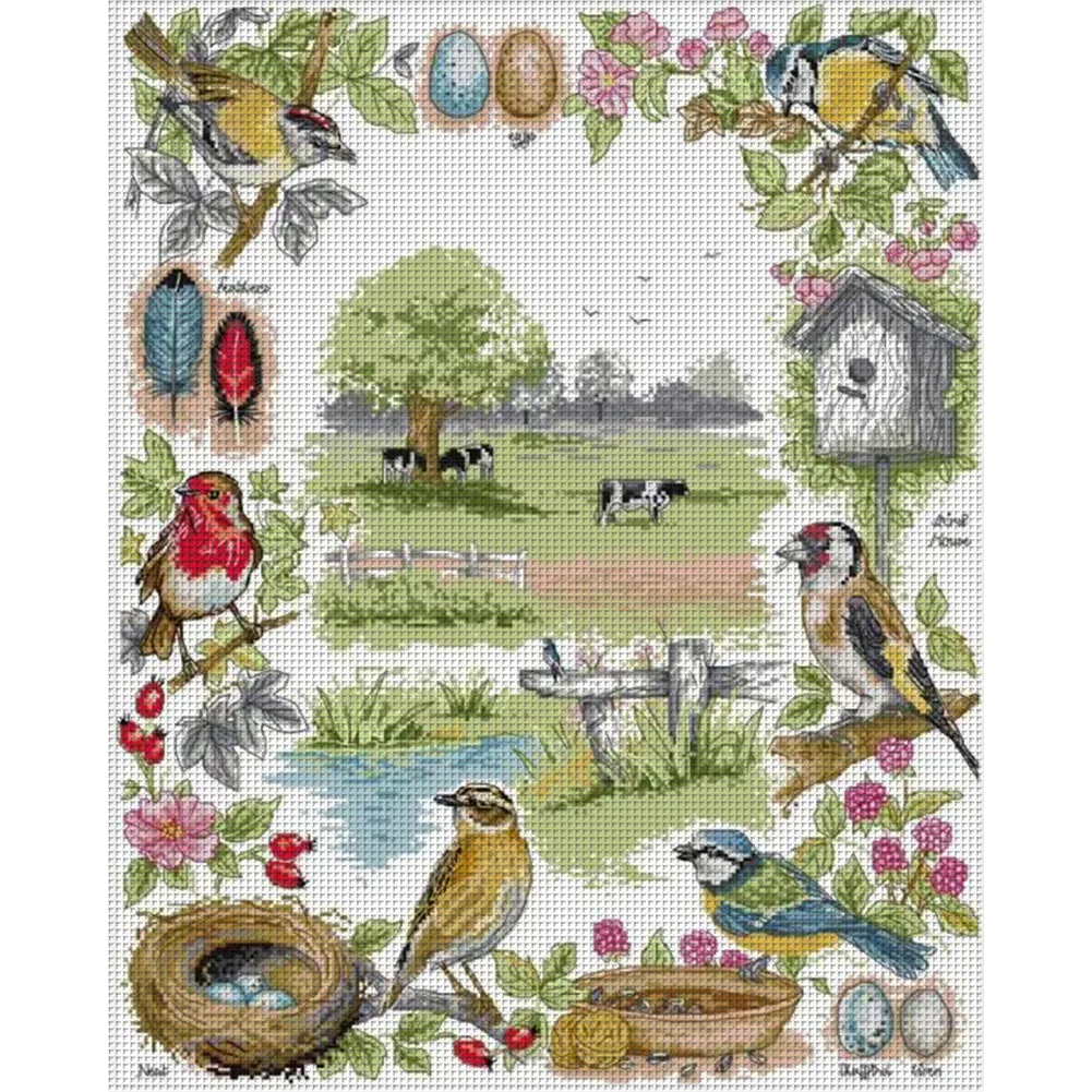 Bird Ecology - 14CT Stamped Cross Stitch 48*58CM(Joy Sunday)