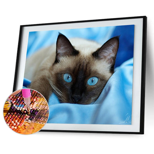 Cat - Full Round Drill Diamond Painting 40*30CM