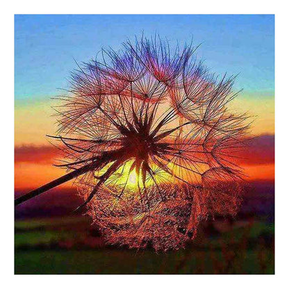 Dandelion - Full Round Drill Diamond Painting 30*30CM