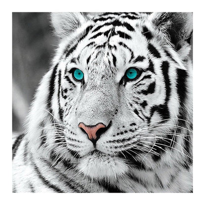 Tiger Head - Full Round Drill Diamond Painting 30*30CM