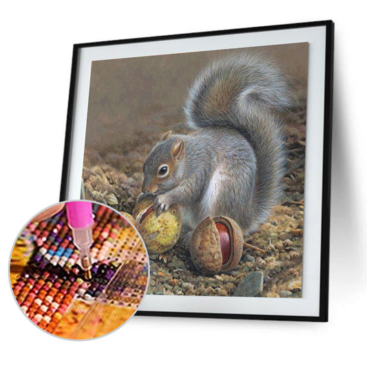 Squirrel - Full Square Drill Diamond Painting 30*30CM