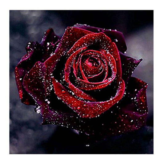 Rose - Full Round Drill Diamond Painting 30*30CM