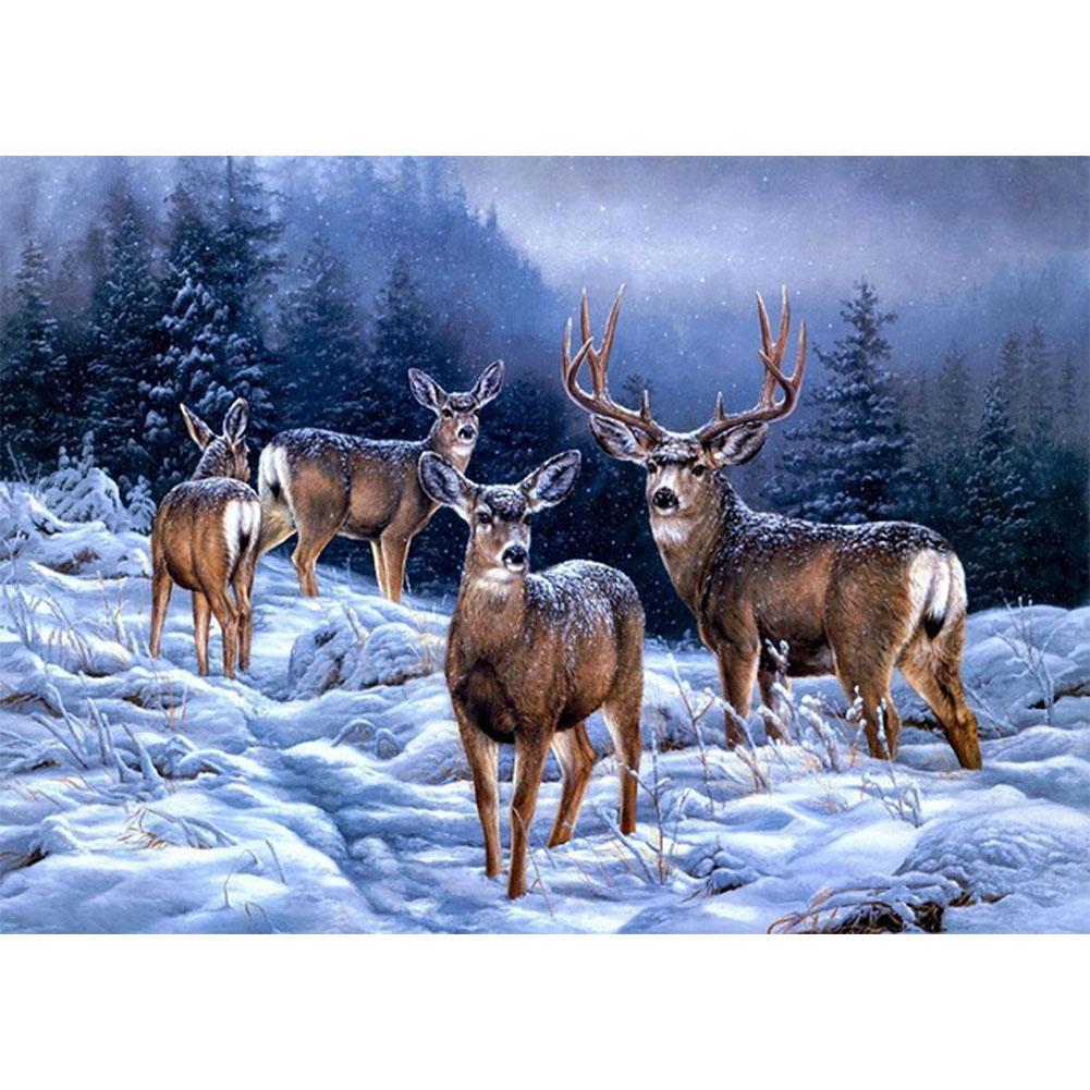 Animals - Full Round Drill Diamond Painting 40*30CM