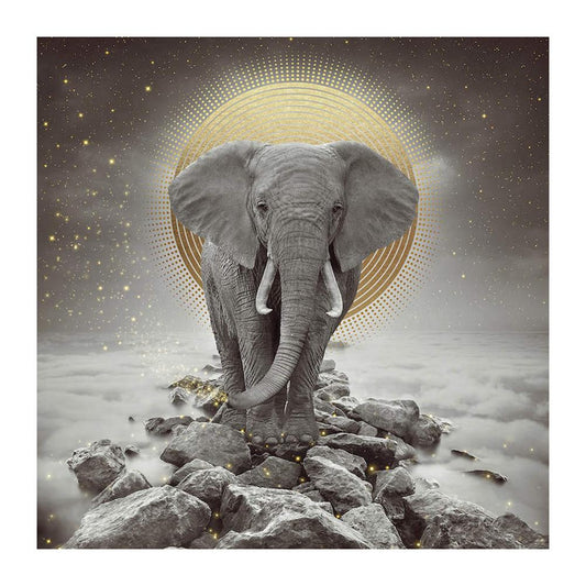 Elephant - Full Round Drill Diamond Painting 30*30CM