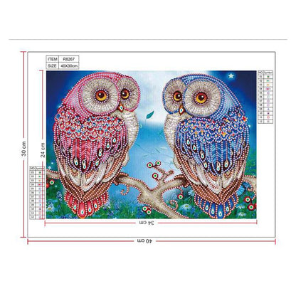 Bird - Special Shaped Drill Diamond Painting 30*40CM