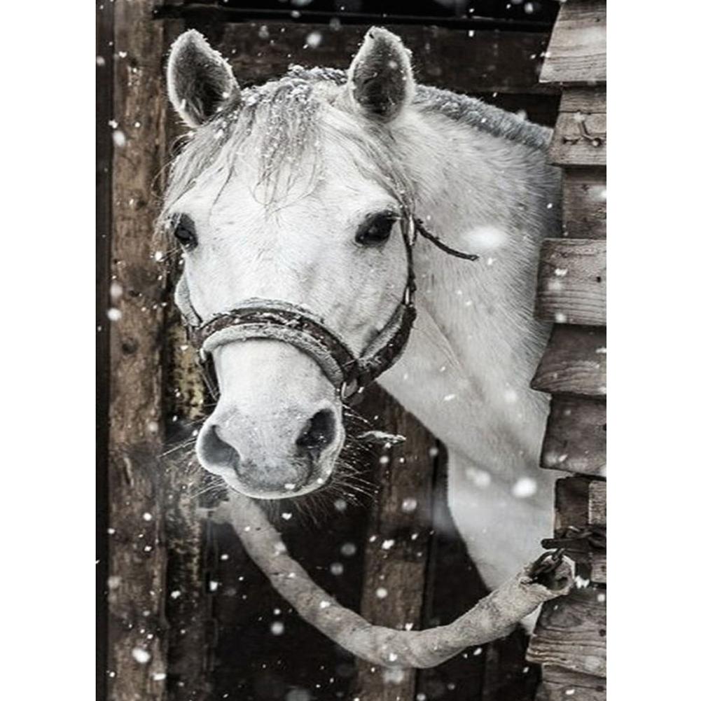 Horse - Full Round Drill Diamond Painting 30*40CM