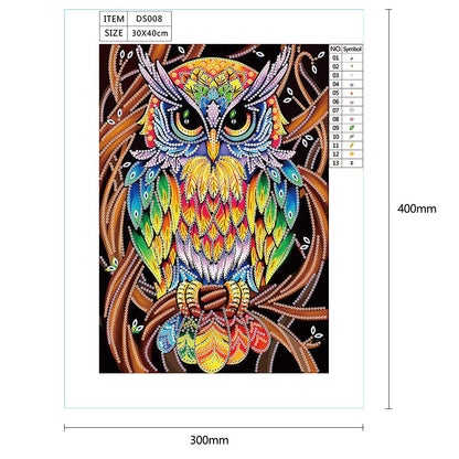 Owl - Special Shaped Drill Diamond Painting 30X40CM