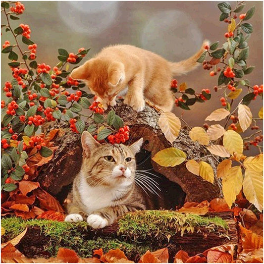 Cat - Full Round Drill Diamond Painting 30*30CM