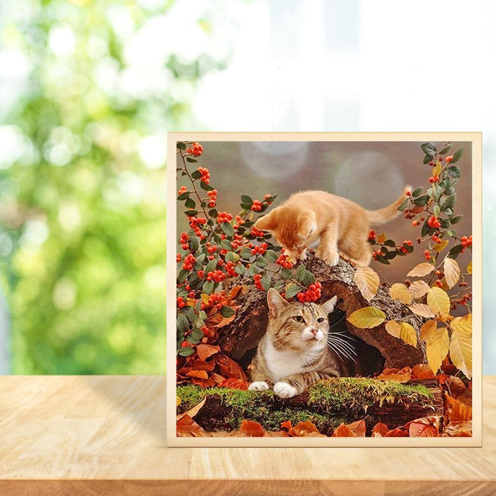 Cat - Full Round Drill Diamond Painting 30*30CM