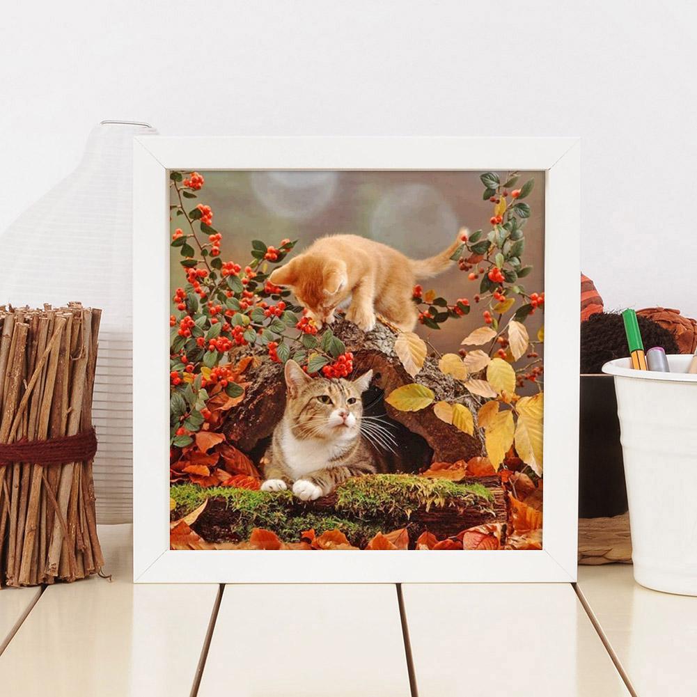Cat - Full Round Drill Diamond Painting 30*30CM