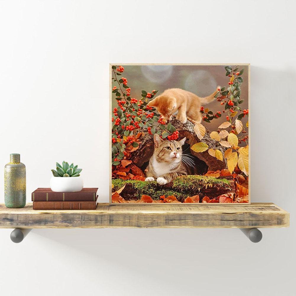 Cat - Full Round Drill Diamond Painting 30*30CM