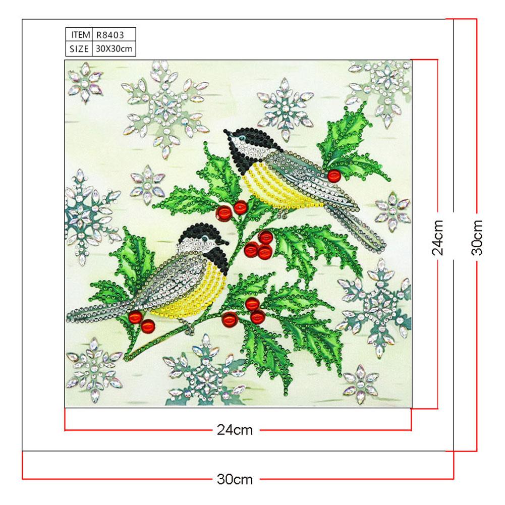 Magpie - Special Shaped Drill Diamond Painting 30*30CM