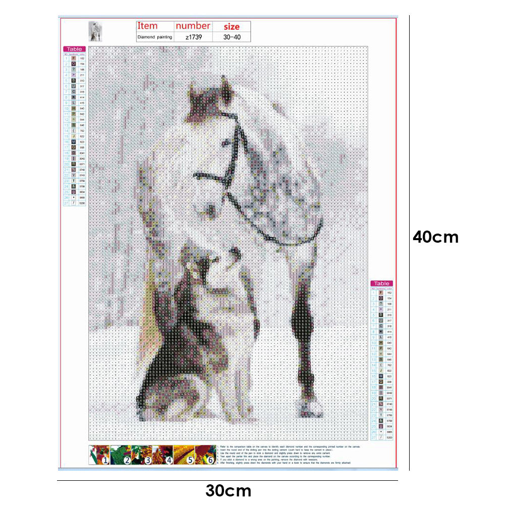 Horse Wolf - Full Round Drill Diamond Painting 30*40CM