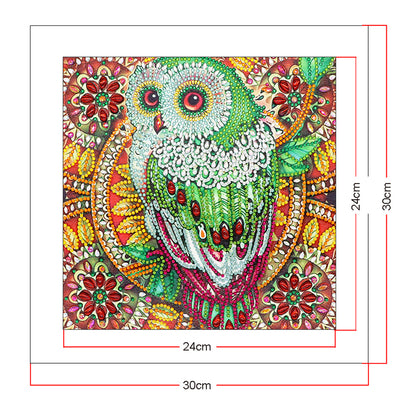 Owl - Special Shaped Drill Diamond Painting 30*30CM