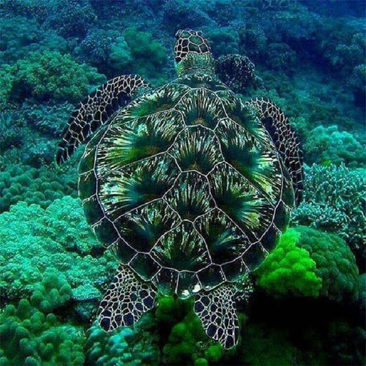 Sea Turtle - Full Round Drill Diamond Painting