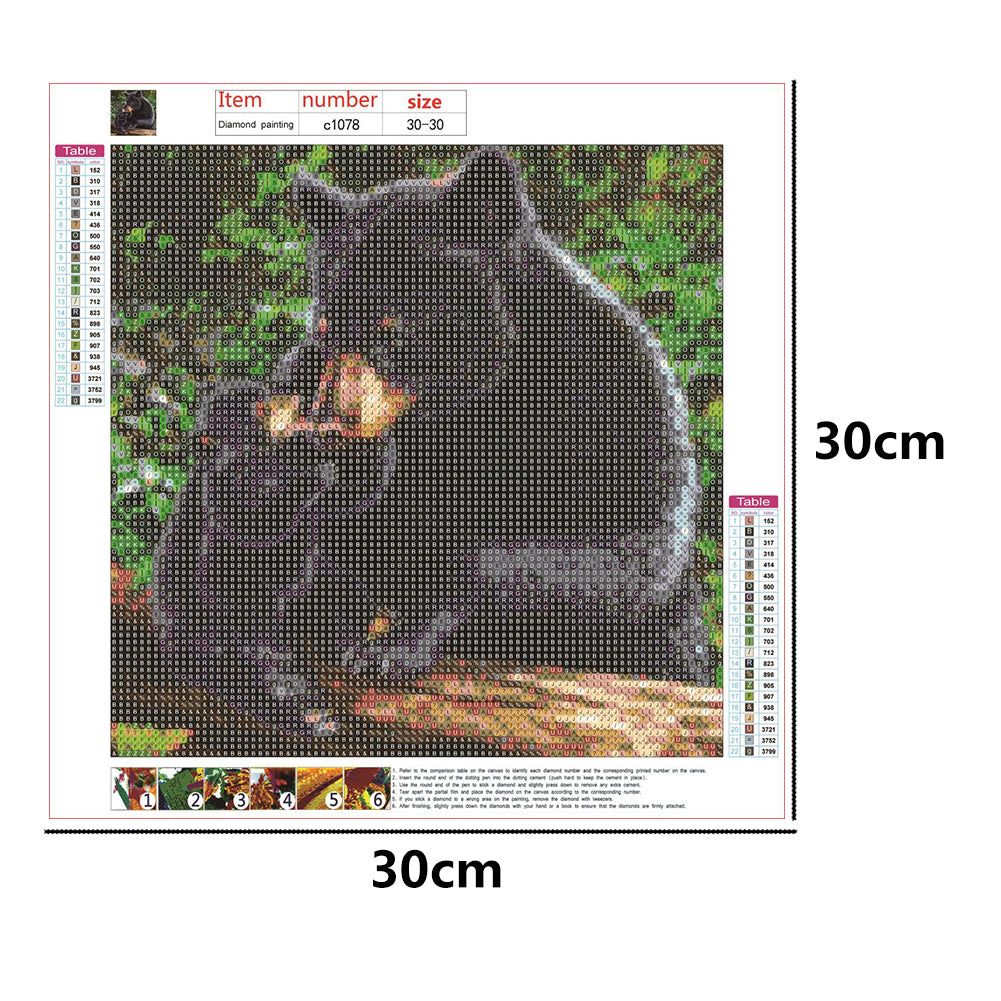 Black Bear - Full Round Drill Diamond Painting 30*30CM