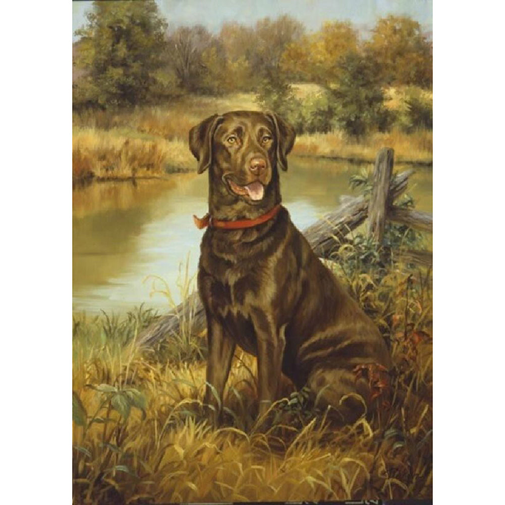 Dog - Full Round Drill Diamond Painting 30*40CM