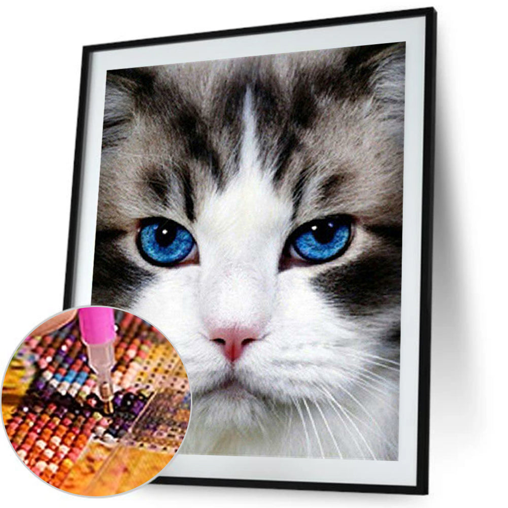 Cat - Full Round Drill Diamond Painting 30*40CM