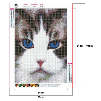 Cat - Full Round Drill Diamond Painting 30*40CM