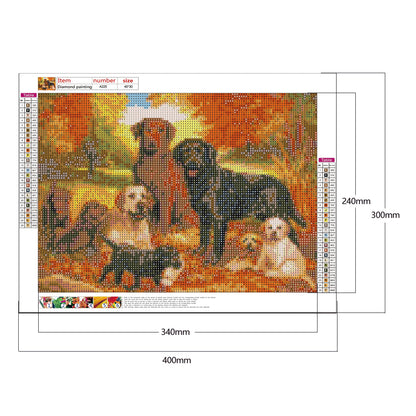 Dog Sets - Full Round Drill Diamond Painting 40*30CM