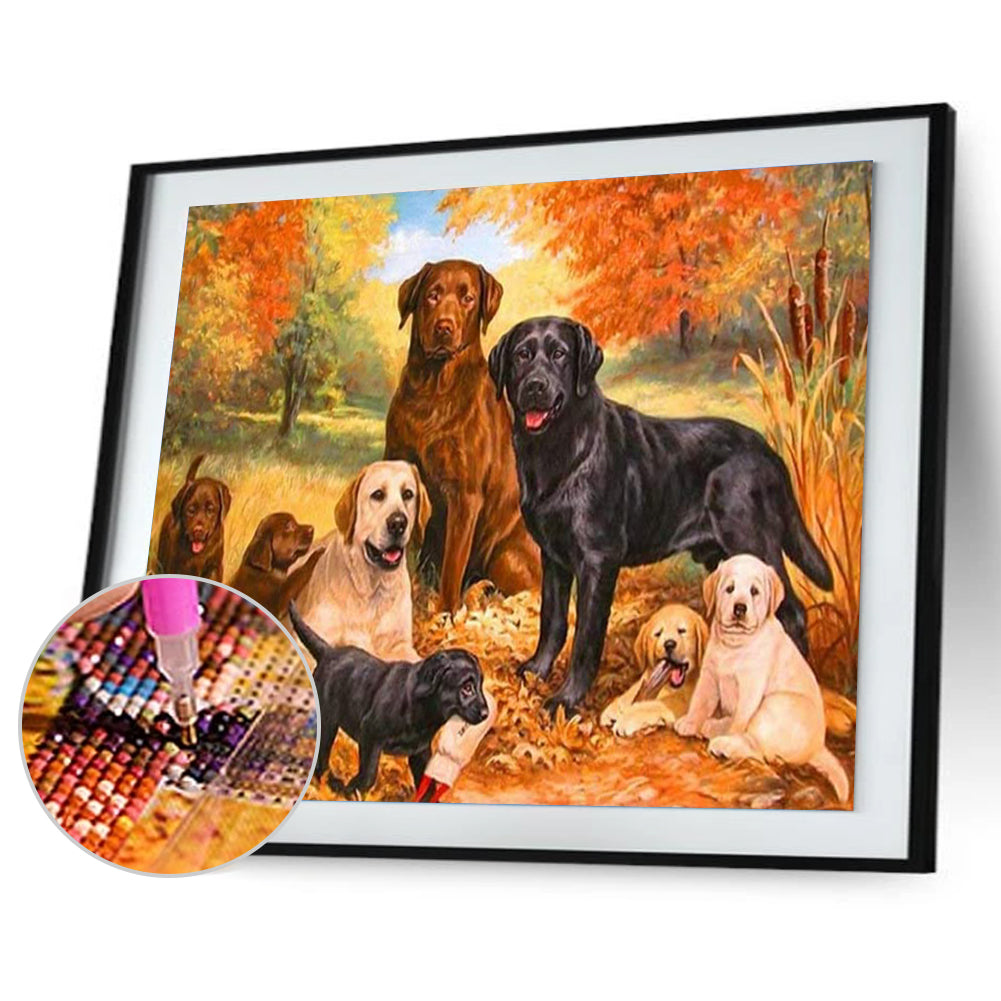 Dog Sets - Full Round Drill Diamond Painting 40*30CM