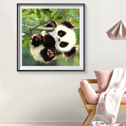 Lovely Panda - Special Shaped Drill Diamond Painting 30*30CM