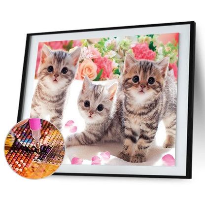 Three Kittens - Full Round Drill Diamond Painting 40*30CM