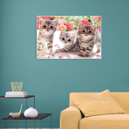 Three Kittens - Full Round Drill Diamond Painting 40*30CM