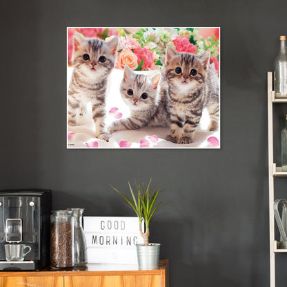 Three Kittens - Full Round Drill Diamond Painting 40*30CM