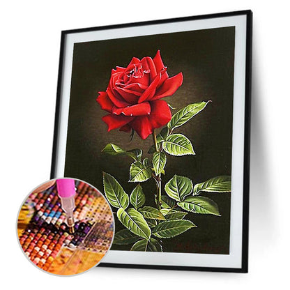 Flower Rose - Full Round Drill Diamond Painting 30*40CM