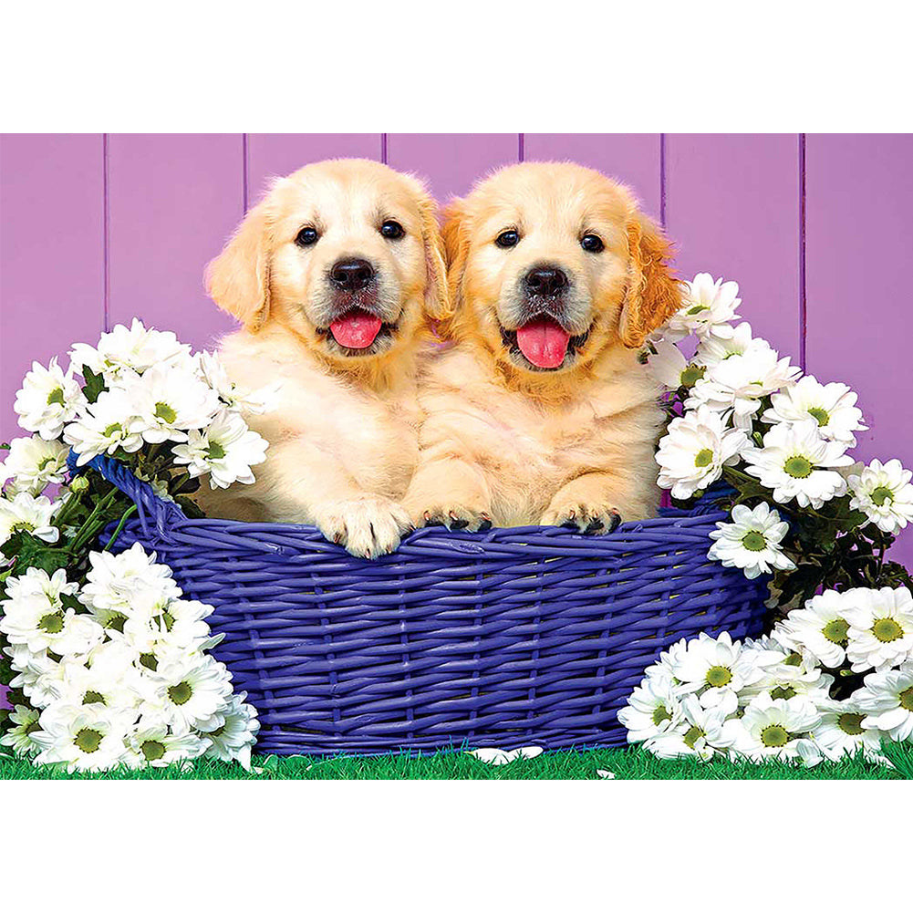 Dogs Basket - Full Round Drill Diamond Painting 40*30CM