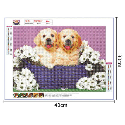 Dogs Basket - Full Round Drill Diamond Painting 40*30CM