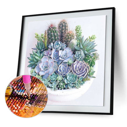 Succulent Plants - Full Round Drill Diamond Painting 30*30CM