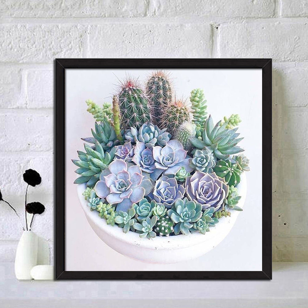 Succulent Plants - Full Round Drill Diamond Painting 30*30CM